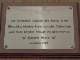Barlow W. Ware Memorial Plaque