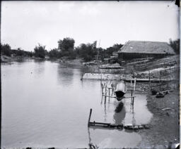 Duck farm along Pasig River 