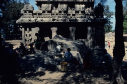 People Picnicking With Dharmaraja Ratha in Background