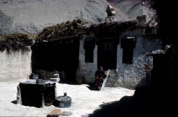 Ladakhi Dwelling