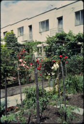 Corbusier residential building from across a garden area (Weissenhofsiedlung, Stuttgart, DE)