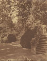 Stairway to right, trees and lawn