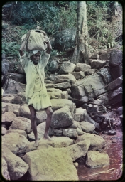 Householder carrying midday meal to works in paddy lands