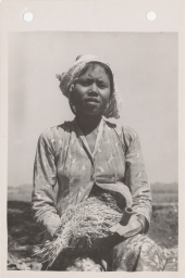 Indonesian woman with rice