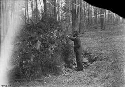 Overturned tree, Cortland, NY J.O. Martin 1898