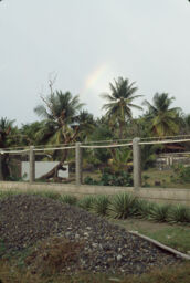 Rainbow over Evelina Antonetty's home, Salinas, Puerto Rico