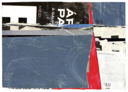 Baer Art Center Collages 26, 'A GAULK' Twenty First in a Series of Twenty Six 21 cm x 15 cm
