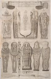 Oedipus Aegyptiacus: Mummies from Florence and Amsterdam collections