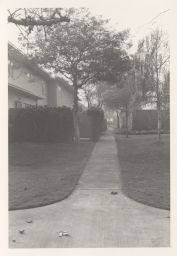 Sidewalk in Baldwin Hills Village.