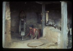 mahilaharu kodo dhikkima  kutdai (महिलाहरु कोदो ढिक्कीमा कुट्दै / Women Using a Machine to Grind Millet)