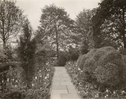 Stone path in a Garden