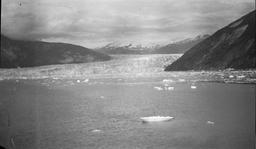 Taku Glacier from fiord