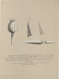 Crude Opium: Green-Capsule of poppy, plus knife and spoons used for extraction