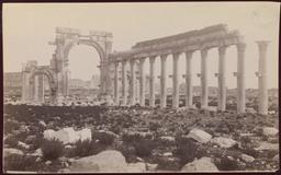 Wolfe Expedition: Palmyra, Monumental Arch and Great Colonnade