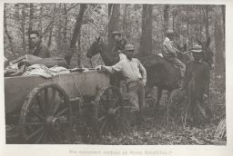 Equipment, Camp Epiphilus, Mule Cart