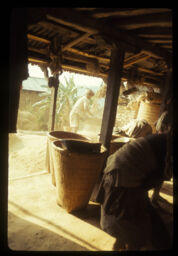 manisharu kodo bhitrauna tayri gardai (मानिसहरु कोदो भित्राउन तयारी गर्दै / People Getting Ready to Store Millet)