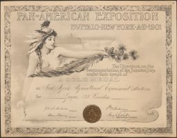Pan-American Exposition Award Certificate.
