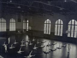 Men exercising in Alexander Gym II