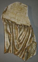 Parthenon frieze, East VI, fig. 39  