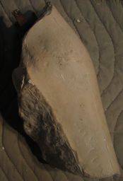 Fragment of limb (of Centaur?), Olympia