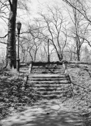 Stairs, Central Park