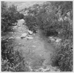 Cullhuas creek Cullhuas - Toma de Agua