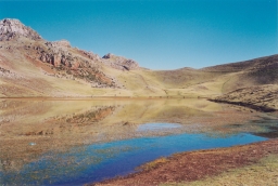 Bofedal or puna wetland