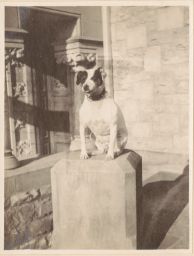 Dog on Pedestal
