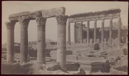 Wolfe Expedition: Palmyra, Temple of Bel within temenos