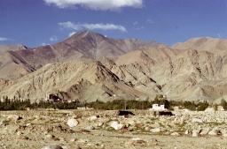 Leh With Palace in the Background
