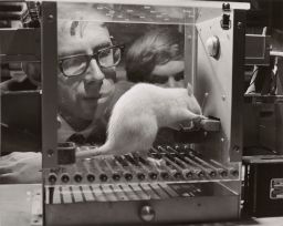 Frank Rosenblatt with experimental rat