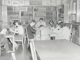 Students studying in Carnegie Library