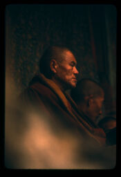 basiraheka lamaharu (बसीरहेका लामाहरु / Lama  Sitting)