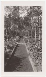 Ralph Hanes estate, path in garden flanked by tulips