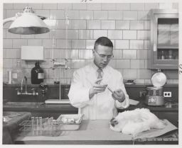 Dr. Daniel N. Tapper studying carbohydrate metabolism in domestic fowl, in the lab of Dr. Morley R. Kare.