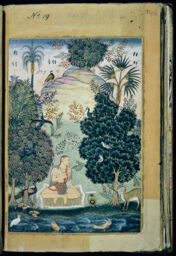 Set 8: Provincial Mughal, Kamod