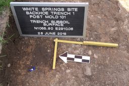Plan View of Post Mold 101 at the White Springs Site upon First Exposure