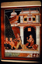 Set 36: Sirohi, Madhumadhavi