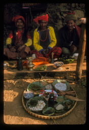 Wang ko lagi lyayeko saman (वाङको लागी ल्याएको सामान / Every Morning Villagers Bring Various Crops for a Blessing by a Lama at Tshetsu)
