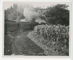 Tweetsie locomotive and cars on ET&WNC past a corn field near Newland, North Carolina
