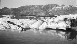 Icebergs - Glacier Bay