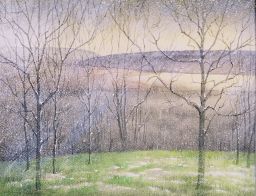 Untitled (Bare trees and lake in snow flurry)