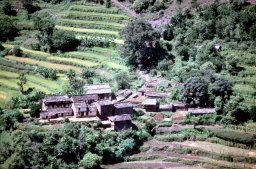 Village Amid Terraced Fields
