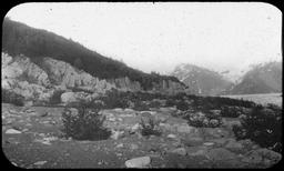 265 Alaska Exp. Looking north along elevated beach, west side. Disenchanted Bay opt. Indian Camp