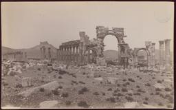 Wolfe Expedition: Palmyra, Monumental Arch and Great Colonnade