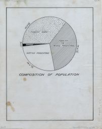 Composition of Population