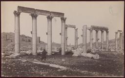 Wolfe Expedition: Palmyra, Great Colonnade