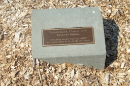 Barbara Kulik Memorial Birches and Plaque