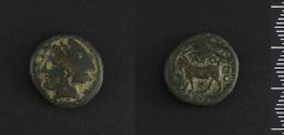Bronze Coin (Mint: Aegospotami)
