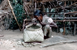 Householder weaving a basket